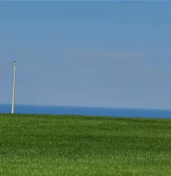 Foto annuncio 14