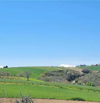 Foto annuncio 15