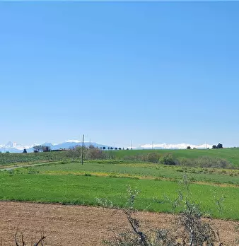 Foto annuncio 16