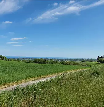 Foto annuncio 3
