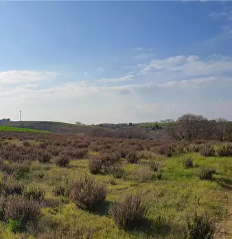 Foto annuncio 33