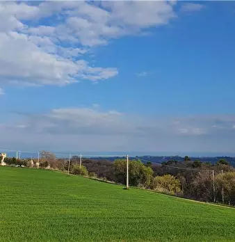 Foto annuncio 4