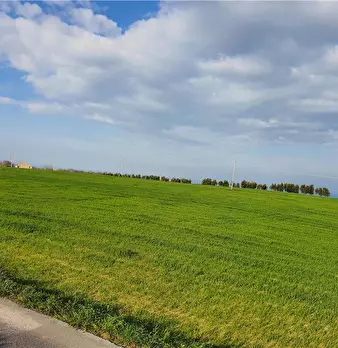 Foto annuncio 8