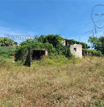 Foto annuncio 12