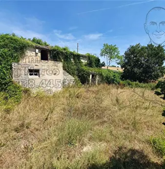 Foto annuncio 16