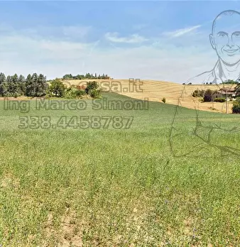 Foto annuncio 18
