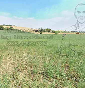 Foto annuncio 19