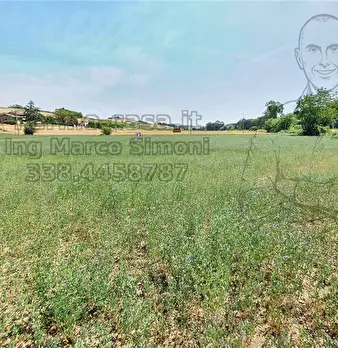 Foto annuncio 20