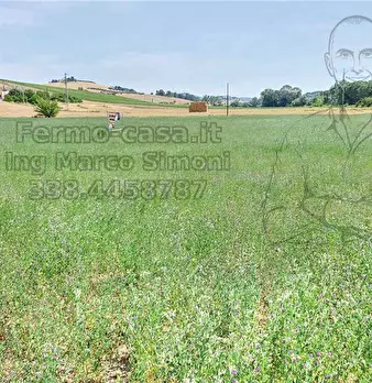 Foto annuncio 21