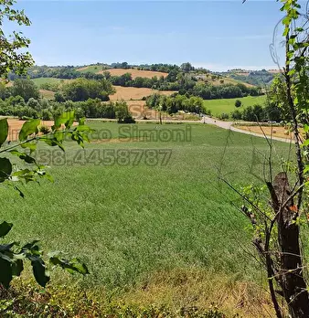Foto annuncio 22