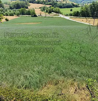 Foto annuncio 23