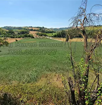 Foto annuncio 24