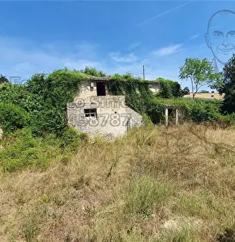 Foto annuncio 26