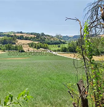 Foto annuncio 3