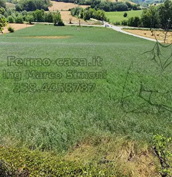 Foto annuncio 4