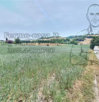 Foto annuncio 7