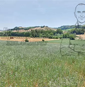 Foto annuncio 8