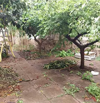 Foto annuncio 2