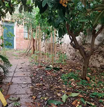 Foto annuncio 3
