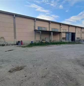 Foto annuncio 1