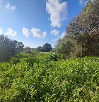 Foto annuncio 3