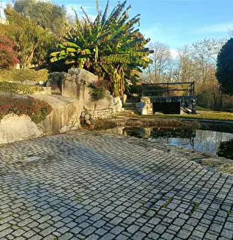 Foto annuncio 23