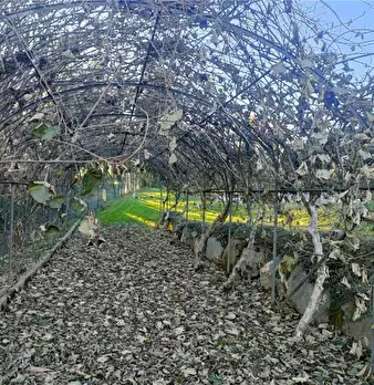 Foto annuncio 25