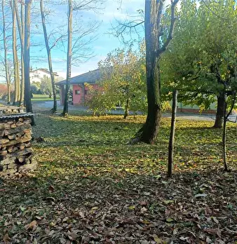 Foto annuncio 28