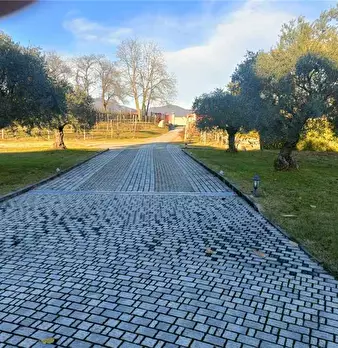 Foto annuncio 29