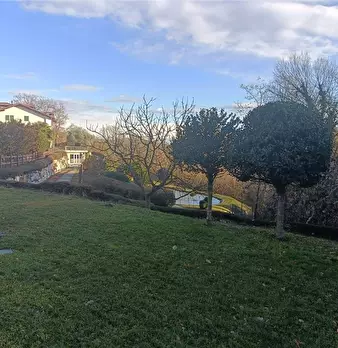 Foto annuncio 30