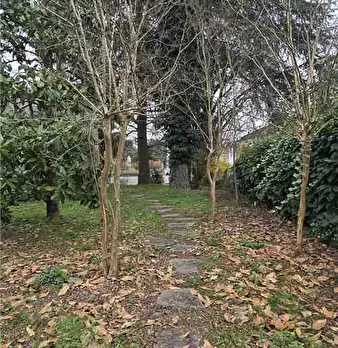 Foto annuncio 5