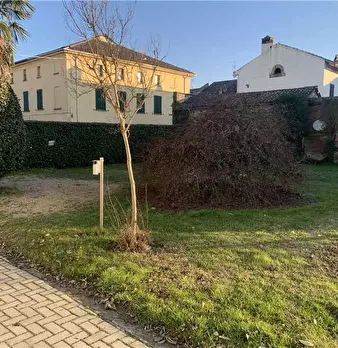Foto annuncio 3