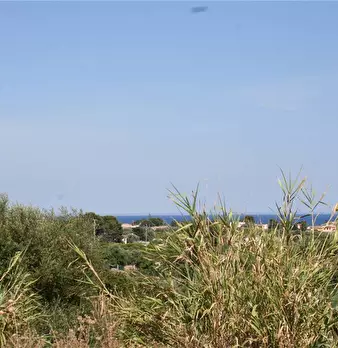 Foto annuncio 11