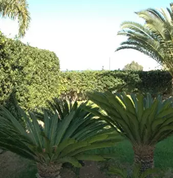 Foto annuncio 4