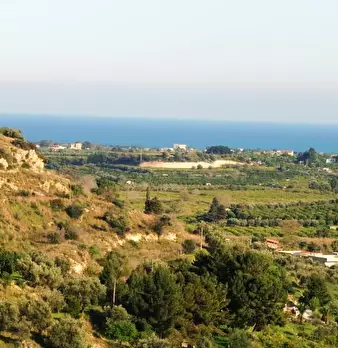 Foto annuncio 12