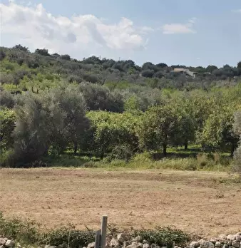 Foto annuncio 13