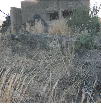 Foto annuncio 9