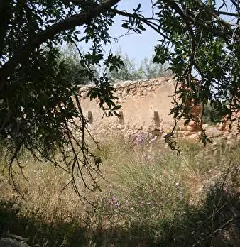 Foto annuncio 3
