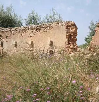 Foto annuncio 4