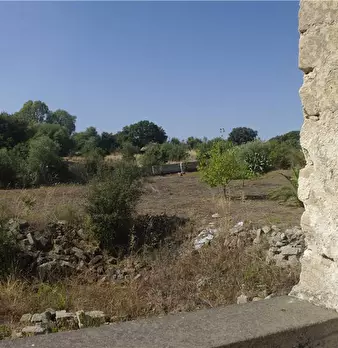 Foto annuncio 10