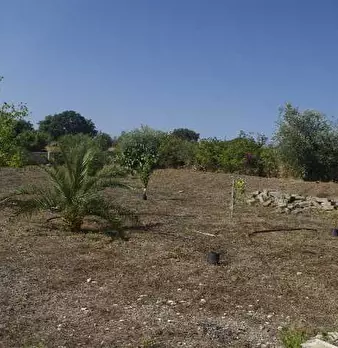 Foto annuncio 4