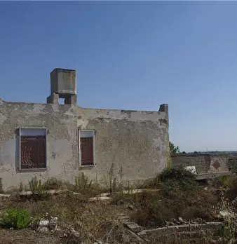 Foto annuncio 6
