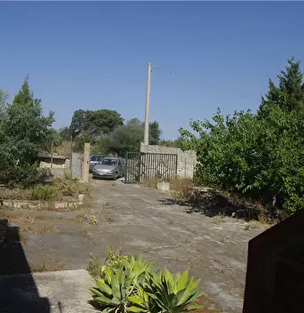 Foto annuncio 9