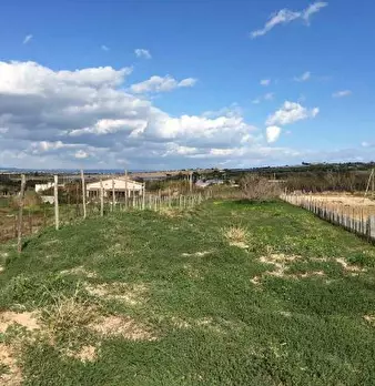 Foto annuncio 6