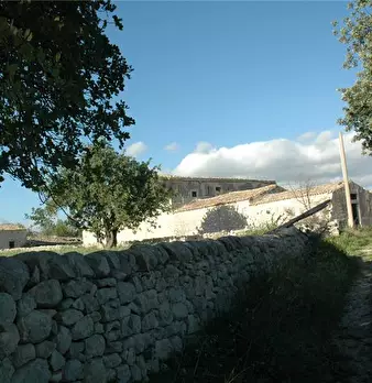 Foto annuncio 11