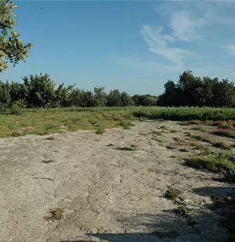 Foto annuncio 12