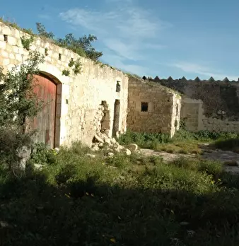Foto annuncio 4