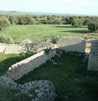 Foto annuncio 5
