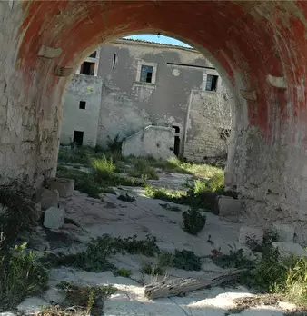 Foto annuncio 6