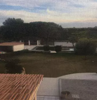 Foto annuncio 14